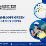 Kamloops Green Clean Experts