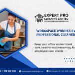 Workspace Wonder by Professional Cleaners