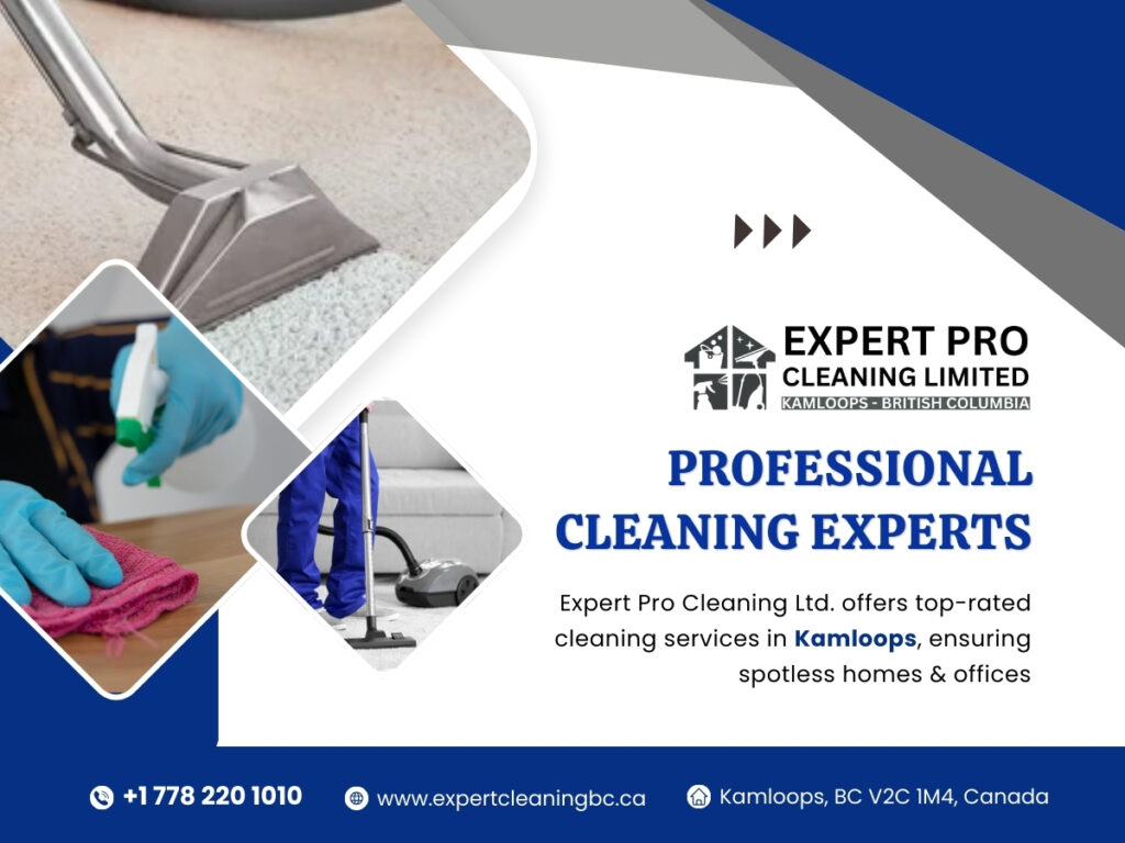 Professional Cleaning Experts