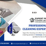 Professional Cleaning Experts